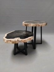 Set 2 tables basses en bois pétrifié (fossile)